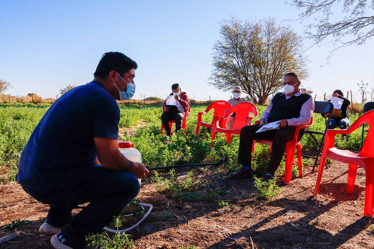 Productores Aprenden A Utilizar Herramientas Para El Control De La